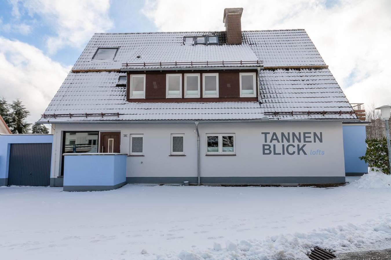 Ferienwohnung Familien Loft Im Haus Tannenblick Lofts 布劳恩拉格 外观 照片